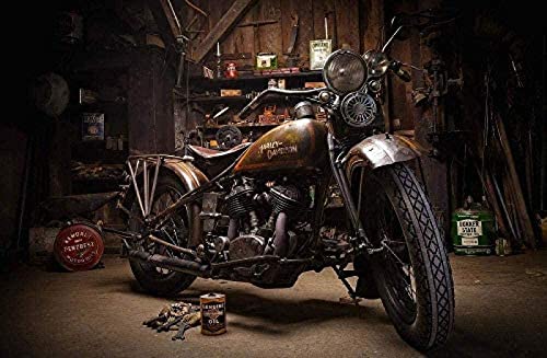 Malen nach Zahlen Set für Erwachsene Kinder Anfänger Malen nach Zahlen auf Leinwand für Heimdekoration Motorrad - 40x50cm Malen nach Zahlen Set für Erwachsene Kinder Anfänger Malen nach Zahlen auf Leinwand für Heimdekoration Motorrad - 40x50cm von ZOZOIN