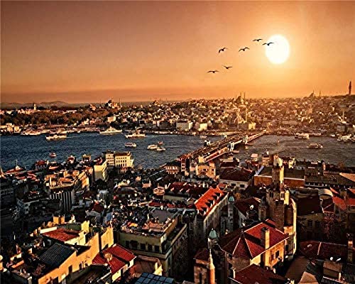 Malen nach Zahlen für Erwachsene DIY Malen nach Zahlen Kits für Kinder Anfänger auf Leinwand Istanbul Gebäude Sonnenuntergang 30x40cm von ZOZOIN