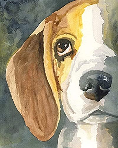 Malen nach Zahlen für Erwachsene Kinder – Beagle Hound Haustier Hund Tiere – DIY digitales Ölgemälde nach Zahlen Kits auf Leinwand Geschenk 30 x 40 cm von ZOZOIN