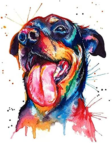 Rottweiler Haustier Hund Tier Malen nach Zahlen für Erwachsene Acrylmalset für Kinder & Erwachsene Anfänger 50x60cm von ZOZOIN