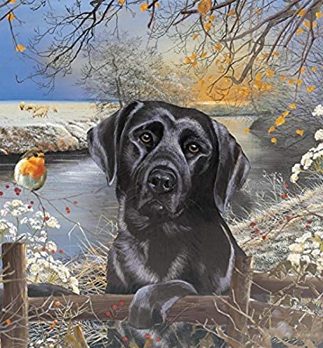 Schwarzer Labrador Hund Malen nach Zahlen Kits Leinwand DIY Ölgemälde für Kinder, Studenten, Erwachsene Anfänger mit Pinsel und Acrylpigment 40x50cm Schwarzer Labrador Hund Malen nach Zahlen Kits Leinwand DIY Ölgemälde für Kinder, Studenten, Erwachsene Anfänger mit Pinsel und Acrylpigment 40x50cm von ZOZOIN