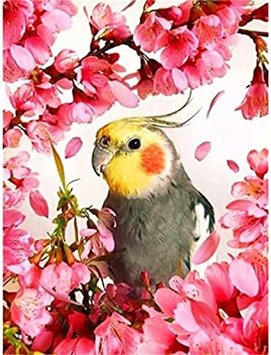 ZOZOIN DIY 5D Diamond Painting Kits Rotkehlchen Vogel Papagei und Blumen Baum malen mit Vollbohrer Runde Diamantkunststickerei Wanddekoration 30x40CM von ZOZOIN