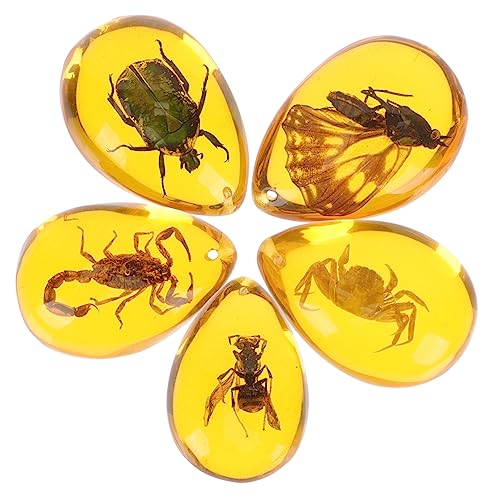 ZUNOXAZ 5 Stück Teiliges aus Kunstharz Insekten Anhängern Natürlicher Bernstein Schmuck für DIY Projekte für Armbänder und Kreative Dekorationen ZUNOXAZ 5 Stück Teiliges aus Kunstharz Insekten Anhängern Natürlicher Bernstein Schmuck für DIY Projekte für Armbänder und Kreative Dekorationen von ZUNOXAZ