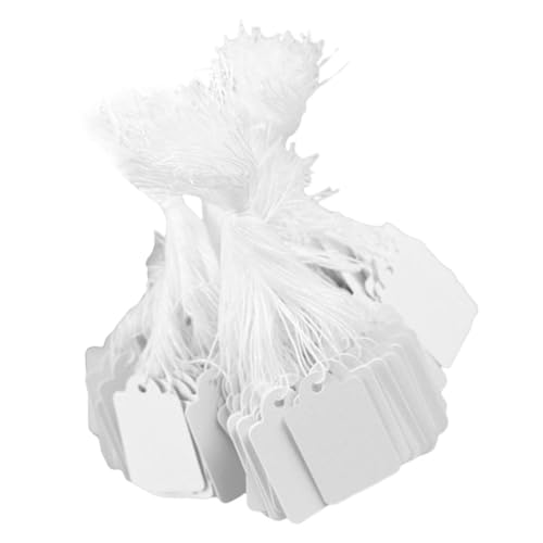 ZUNOXAZ 500 Blatt Schmuck Preisschilder Anhänger mit Schnur Handbeschriftete Markierungsetiketten Leere Verkaufsetiketten für Einzelhandel und Schmuckdisplay ZUNOXAZ 500 Blatt Schmuck Preisschilder Anhänger mit Schnur Handbeschriftete Markierungsetiketten Leere Verkaufsetiketten für Einzelhandel und Schmuckdisplay von ZUNOXAZ