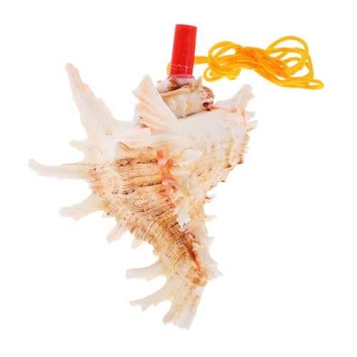 ZUNOXAZ Großes Muschelhorn Conch Horn mit Klarem Melodischem Klang Vielseitiges Blasinstrument und Dekoratives Strandspielzeug für Geeignet für Festivals und Outdoor-aktivitäten von ZUNOXAZ