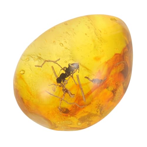 ZUNOXAZ Insekten Bernstein Anhänger Resin Kunstharz mit Echtem Insektenexemplar Lebensechte Sammler Dekoration für DIY Basteln Kompakte Vielseitig für und ZUNOXAZ Insekten Bernstein Anhänger Resin Kunstharz mit Echtem Insektenexemplar Lebensechte Sammler Dekoration für DIY Basteln Kompakte Vielseitig für und von ZUNOXAZ