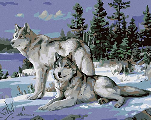ZUTY 1249230, Malen nach Zahlen-WÖLFE 40x50 cm ohne Keilrahmen, not Framed ZUTY 1249230, Malen nach Zahlen-WÖLFE 40x50 cm ohne Keilrahmen, not Framed von ZUTY
