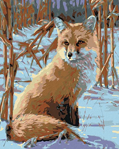 ZUTY 1616181, Malen nach Zahlen-AUSSCHAUENDER Fuchs 40x50 cm mit Keilrahmen (bereits gespannt) von ZUTY