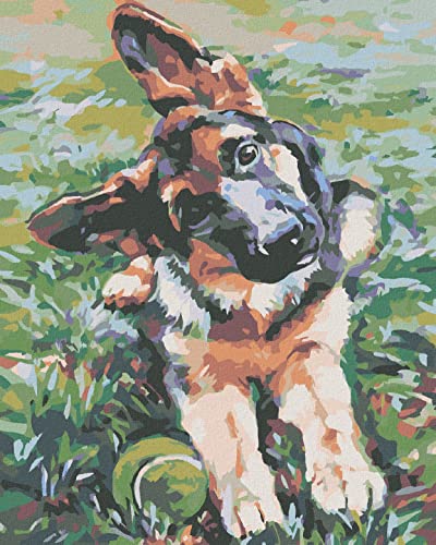 ZUTY 1672230, Malen nach Zahlen-WELPE VOM SCHÄFERHUND 40x50 cm ohne Keilrahmen, not Framed ZUTY 1672230, Malen nach Zahlen-WELPE VOM SCHÄFERHUND 40x50 cm ohne Keilrahmen, not Framed von ZUTY