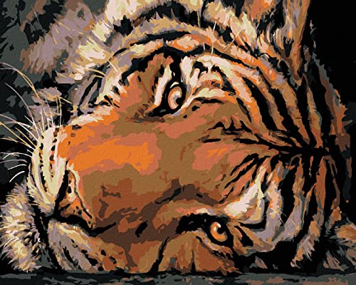 ZUTY 2358190, Malen nach Zahlen-KLARER TIGERBLICK 40x50 cm ohne Keilrahmen ZUTY 2358190, Malen nach Zahlen-KLARER TIGERBLICK 40x50 cm ohne Keilrahmen von ZUTY