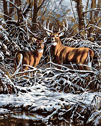 ZUTY 2940233, Malen nach Zahlen-Hirsch UND HINDIN IM GEBÜSCH 80x100 cm mit Keilrahmen (bereits gespannt) von ZUTY
