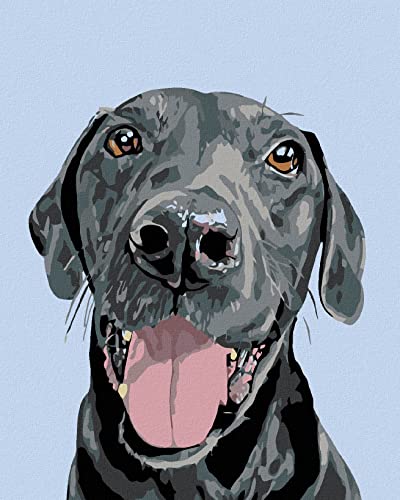 ZUTY 491171, Malen nach Zahlen-SCHWARZER SCHÖNLING 40x50 cm mit Keilrahmen (bereits gespannt), Framed von ZUTY