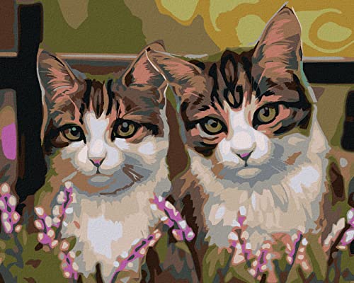 ZUTY 695201, Malen nach Zahlen-Katzen IM Gras 40x50 cm mit Keilrahmen (bereits gespannt) von ZUTY