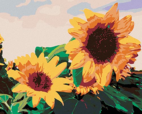 ZUTY 767210, MALEN NACH Zahlen-Sonnenblumen I. 40x50 cm ohne Keilrahmen, not Framed ZUTY 767210, MALEN NACH Zahlen-Sonnenblumen I. 40x50 cm ohne Keilrahmen, not Framed von ZUTY