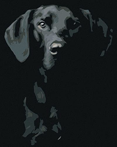 ZUTY 84102, Malen nach Zahlen-SCHWARZWEIßER Hund 80x100 cm ohne Keilrahmen, not Framed ZUTY 84102, Malen nach Zahlen-SCHWARZWEIßER Hund 80x100 cm ohne Keilrahmen, not Framed von ZUTY
