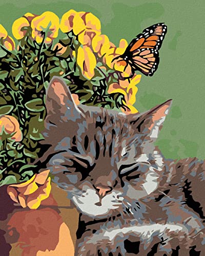 ZUTY 855200, Malen nach Zahlen-RUHENDER Kater UND Schmetterling IN Blumen 40x50 cm ohne Keilrahmen, not Framed ZUTY 855200, Malen nach Zahlen-RUHENDER Kater UND Schmetterling IN Blumen 40x50 cm ohne Keilrahmen, not Framed von ZUTY