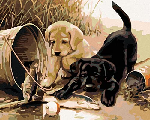 ZUTY 867210, Malen nach Zahlen-HUNDEWELPCHEN MIT Fisch 40x50 cm ohne Keilrahmen von ZUTY