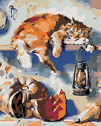 ZUTY 882221, Malen nach Zahlen-SCHLAFENDER Kater AUF DEM Regal IN SPEISEKAMMER 40x50 cm mit Keilrahmen (bereits gespannt), Framed von ZUTY