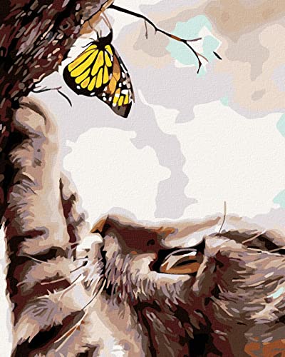 ZUTY 908221, Malen nach Zahlen-Katze UND GELBER Schmetterling 40x50 cm mit Keilrahmen (bereits gespannt) von ZUTY