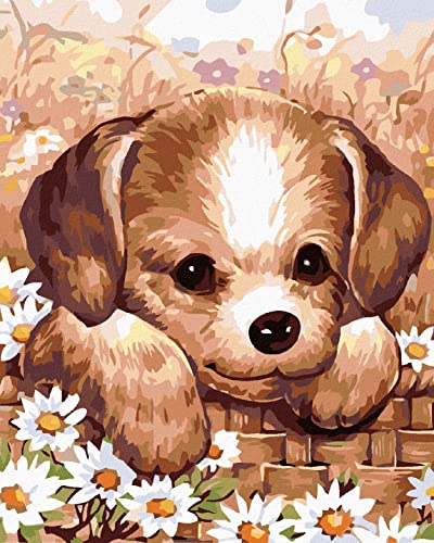ZUTY 930220, Malen nach Zahlen-HUNDEWELPEN 40x50 cm ohne Keilrahmen ZUTY 930220, Malen nach Zahlen-HUNDEWELPEN 40x50 cm ohne Keilrahmen von ZUTY