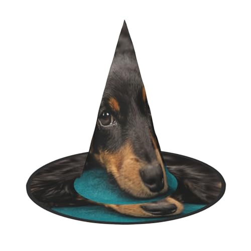 ZWLPNZZD (Süßer Hund) Bedruckter faltbarer Halloween-Hut Urlaub Kostüm Kappe Cosplay Party Hexenhüte 1 von ZWLPNZZD