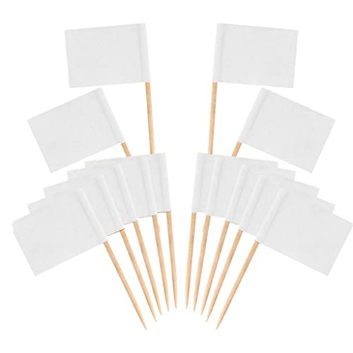 100 Stück Zahnstocher-Flaggen, Lebensmitteletiketten mit Holzstäbchen, Käsemarker, Picks für Cupcake-Topper, Obst, Vorspeisen, Cocktail-Party-Dekoration, Käse-Marker von ZWTPGKRD