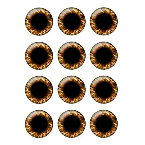 ZXFLOOR 48 Stück/Tasche Puppenaugen Chips 14mm Dünnes Glasauge DIY Schmuckherstellung Zubehör ZXFLOOR 48 Stück/Tasche Puppenaugen Chips 14mm Dünnes Glasauge DIY Schmuckherstellung Zubehör von ZXFLOOR