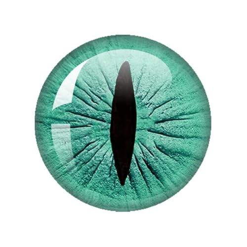 ZXFLOOR 48 Stück Glasaugen Cabochons rund 10MM-40MM runde Kuppel Drachenauge Drachen Katzenauge Spielzeug DIY Schmuck Zubehör Mix Pupillenauge von ZXFLOOR