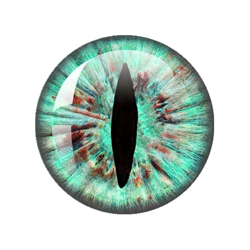 ZXFLOOR 48 Stück Glasaugen Cabochons rund 10MM-40MM runde Kuppel Drachenauge Drachen Katzenauge Spielzeug DIY Schmuck Zubehör Mix Pupillenauge ZXFLOOR 48 Stück Glasaugen Cabochons rund 10MM-40MM runde Kuppel Drachenauge Drachen Katzenauge Spielzeug DIY Schmuck Zubehör Mix Pupillenauge von ZXFLOOR
