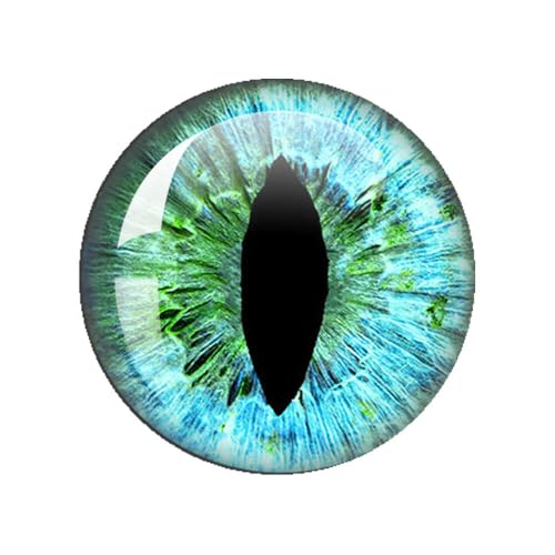 ZXFLOOR 48 Stück Glasaugen Cabochons rund 10MM-40MM runde Kuppel Drachenauge Drachen Katzenauge Spielzeug DIY Schmuck Zubehör Mix Pupillenauge ZXFLOOR 48 Stück Glasaugen Cabochons rund 10MM-40MM runde Kuppel Drachenauge Drachen Katzenauge Spielzeug DIY Schmuck Zubehör Mix Pupillenauge von ZXFLOOR