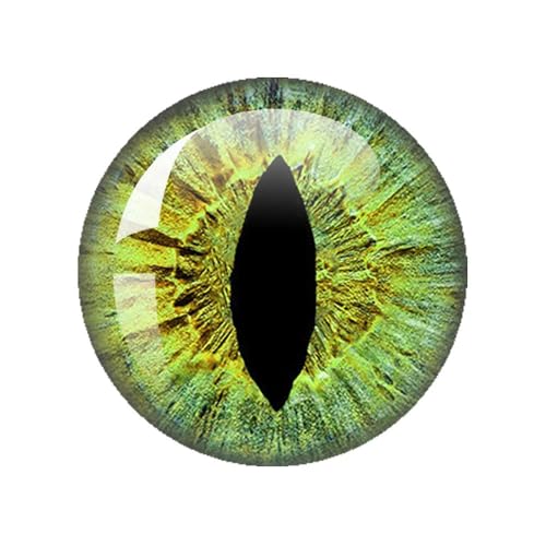ZXFLOOR 48 Stück Glasaugen Cabochons rund 10MM-40MM runde Kuppel Drachenauge Drachen Katzenauge Spielzeug DIY Schmuck Zubehör Mix Pupillenauge ZXFLOOR 48 Stück Glasaugen Cabochons rund 10MM-40MM runde Kuppel Drachenauge Drachen Katzenauge Spielzeug DIY Schmuck Zubehör Mix Pupillenauge von ZXFLOOR