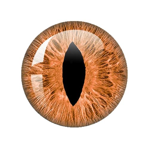 ZXFLOOR 48 Stück Glasaugen Cabochons rund 10MM-40MM runde Kuppel Drachenauge Drachen Katzenauge Spielzeug DIY Schmuck Zubehör Mix Pupillenauge von ZXFLOOR
