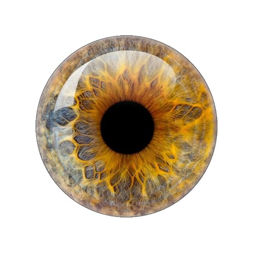ZXFLOOR 48 Stück Glasaugen Cabochons rund 10MM-40MM runde Kuppel Drachenauge Drachen Katzenauge Spielzeug DIY Schmuck Zubehör Mix Pupillenauge von ZXFLOOR