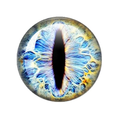 ZXFLOOR 48 Stück Glasaugen Cabochons rund 10MM-40MM runde Kuppel Drachenauge Drachen Katzenauge Spielzeug DIY Schmuck Zubehör Mix Pupillenauge ZXFLOOR 48 Stück Glasaugen Cabochons rund 10MM-40MM runde Kuppel Drachenauge Drachen Katzenauge Spielzeug DIY Schmuck Zubehör Mix Pupillenauge von ZXFLOOR