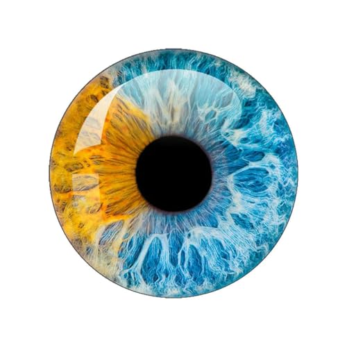 ZXFLOOR 48 Stück Glasaugen Cabochons rund 10MM-40MM runde Kuppel Drachenauge Katzenauge Spielzeug DIY Schmuck Accessoire Mix Pupillenauge Kamee von ZXFLOOR