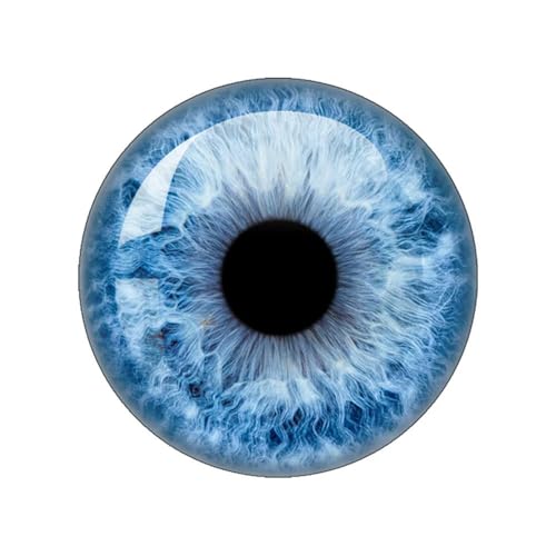 ZXFLOOR 48 Stück Glasaugen Cabochons rund 10MM-40MM runde Kuppel Drachenauge Katzenauge Spielzeug DIY Schmuck Accessoire Mix Pupillenauge Kamee von ZXFLOOR