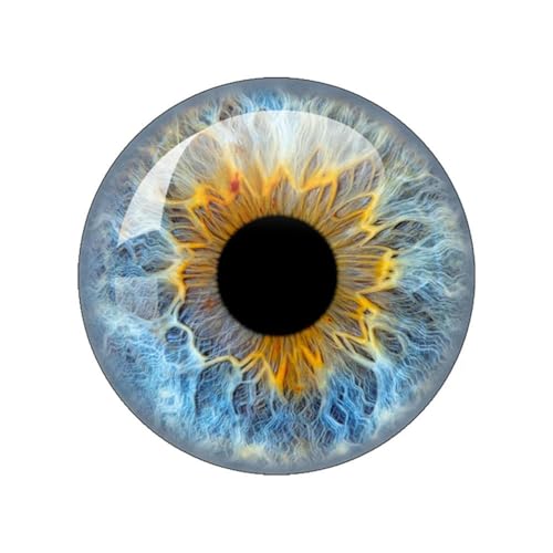 ZXFLOOR 48 Stück Glasaugen Cabochons rund 10MM-40MM runde Kuppel Drachenauge Katzenauge Spielzeug DIY Schmuck Accessoire Mix Pupillenauge Kamee von ZXFLOOR