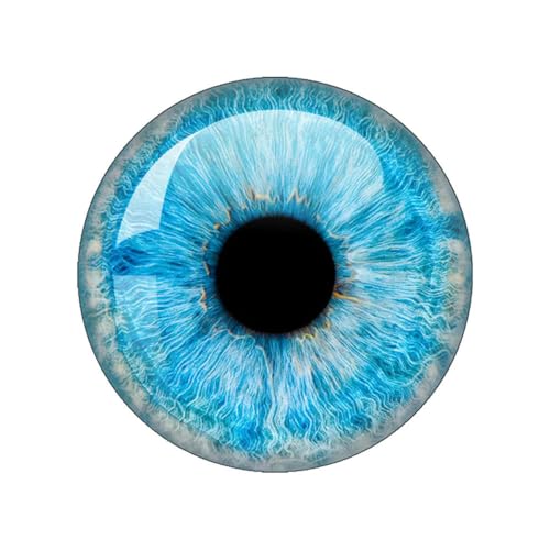ZXFLOOR 48 Stück Glasaugen Cabochons rund 10MM-40MM runde Kuppel Drachenauge Katzenauge Spielzeug DIY Schmuck Accessoire Mix Pupillenauge Kamee von ZXFLOOR