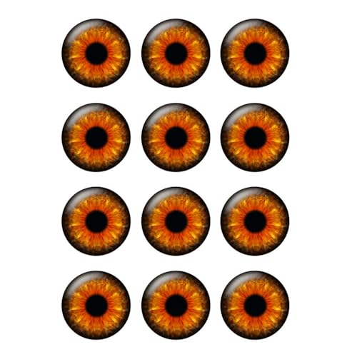 ZXFLOOR 48 Teile/los 8/10/12/14/16/18/20/25mm Runde Glas Cabochon Tier Augen Schüler Cabochons Schmuck Erkenntnisse für DIY Ohrringe ZXFLOOR 48 Teile/los 8/10/12/14/16/18/20/25mm Runde Glas Cabochon Tier Augen Schüler Cabochons Schmuck Erkenntnisse für DIY Ohrringe von ZXFLOOR