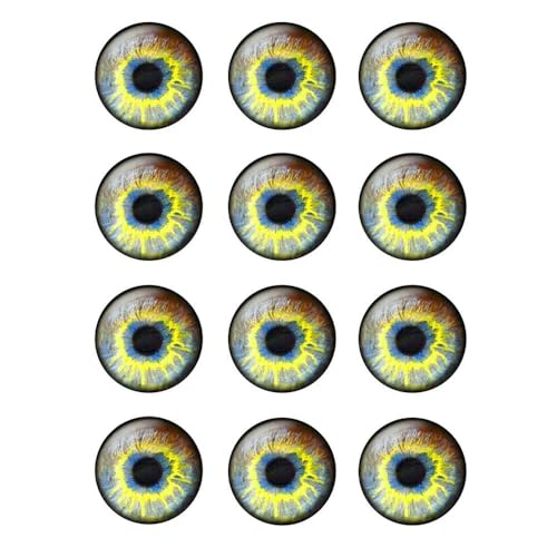ZXFLOOR 48 Teile/los Puppe Augen Foto Runde Glas Cabochon 14mm Flache Rückseite Fit Zu DIY Puppe Auge Chips ZXFLOOR 48 Teile/los Puppe Augen Foto Runde Glas Cabochon 14mm Flache Rückseite Fit Zu DIY Puppe Auge Chips von ZXFLOOR