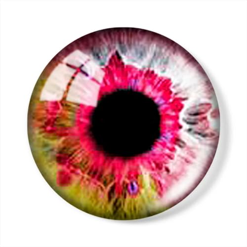 ZXFLOOR 60 Stück Puppenauge Edelstein Patch Kreise Realistisch Für Schmuck 12mm/16mm/18mm/25mm Rundes Foto Glas Cabochon Demo Flache Rückseite Herstellung ZXFLOOR 60 Stück Puppenauge Edelstein Patch Kreise Realistisch Für Schmuck 12mm/16mm/18mm/25mm Rundes Foto Glas Cabochon Demo Flache Rückseite Herstellung von ZXFLOOR