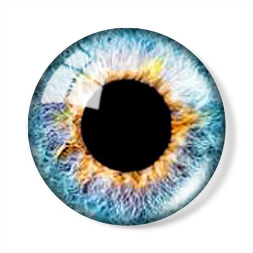 ZXFLOOR 60 Stück Puppenauge Edelstein Patch Kreise Realistisch Für Schmuck 12mm/16mm/18mm/25mm Rundes Foto Glas Cabochon Demo Flache Rückseite Herstellung von ZXFLOOR