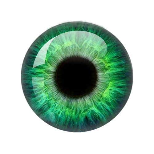 ZXFLOOR 60 Teile/los 10mm/12mm/14mm/16mm/18mm/20mm/25mm Tier Katze Drachen Augen Handgemachte Foto Runde Glas Cabochons, Die Entdeckungen Schmuck ZXFLOOR 60 Teile/los 10mm/12mm/14mm/16mm/18mm/20mm/25mm Tier Katze Drachen Augen Handgemachte Foto Runde Glas Cabochons, Die Entdeckungen Schmuck von ZXFLOOR