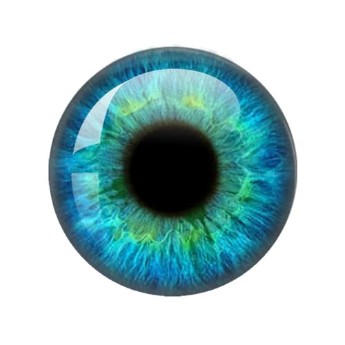 ZXFLOOR 60 Teile/los 10mm/12mm/14mm/16mm/18mm/20mm/25mm Tier Katze Drachen Augen Handgemachte Foto Runde Glas Cabochons, Die Entdeckungen Schmuck ZXFLOOR 60 Teile/los 10mm/12mm/14mm/16mm/18mm/20mm/25mm Tier Katze Drachen Augen Handgemachte Foto Runde Glas Cabochons, Die Entdeckungen Schmuck von ZXFLOOR