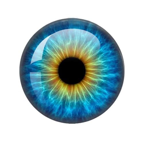 ZXFLOOR 60 Teile/los 10mm/12mm/14mm/16mm/18mm/20mm/25mm Tier Katze Drachen Augen Handgemachte Foto Runde Glas Cabochons, Die Entdeckungen Schmuck von ZXFLOOR