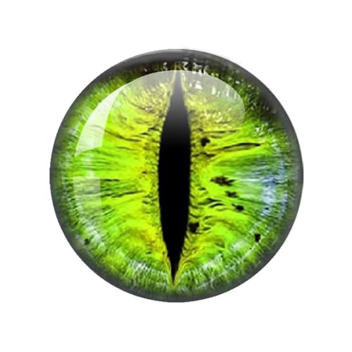 ZXFLOOR 60 Teile/los 10mm/12mm/14mm/16mm/18mm/20mm/25mm Tier Katze Drachen Augen Handgemachte Foto Runde Glas Cabochons, Die Entdeckungen Schmuck ZXFLOOR 60 Teile/los 10mm/12mm/14mm/16mm/18mm/20mm/25mm Tier Katze Drachen Augen Handgemachte Foto Runde Glas Cabochons, Die Entdeckungen Schmuck von ZXFLOOR