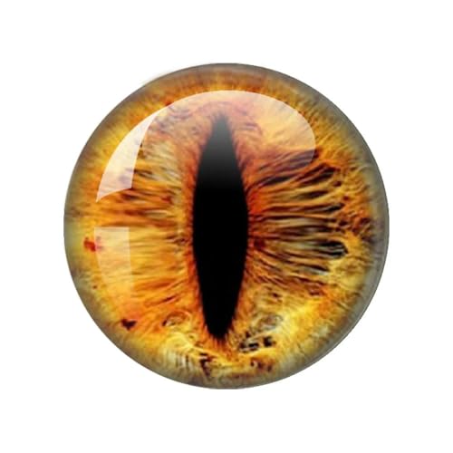 ZXFLOOR 60 Teile/los 10mm/12mm/14mm/16mm/18mm/20mm/25mm Tier Katze Drachen Augen Handgemachte Foto Runde Glas Cabochons, Die Entdeckungen Schmuck ZXFLOOR 60 Teile/los 10mm/12mm/14mm/16mm/18mm/20mm/25mm Tier Katze Drachen Augen Handgemachte Foto Runde Glas Cabochons, Die Entdeckungen Schmuck von ZXFLOOR