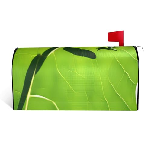 Briefkastenabdeckung mit Froschblättern, wasserdicht, mit Magnetverschluss, anpassbare dekorative Hülle für Briefkästen im Freien, passend für 53,3 x 45,7 cm Briefkastenabdeckung mit Froschblättern, wasserdicht, mit Magnetverschluss, anpassbare dekorative Hülle für Briefkästen im Freien, passend für 53,3 x 45,7 cm von ZXMDZTSS