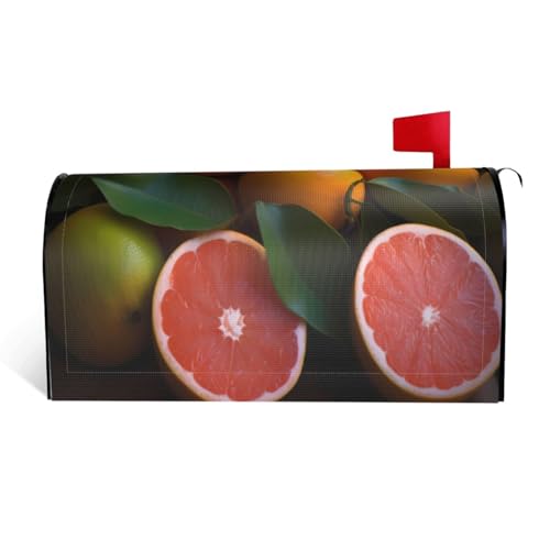 Orangen und Mandarinen – Bedruckter wasserdichter Stoff-Briefkastendeckel mit Magnetverschluss – anpassbare dekorative Hülle für Briefkästen im Freien – passend für 53,3 x 45,7 cm Orangen und Mandarinen – Bedruckter wasserdichter Stoff-Briefkastendeckel mit Magnetverschluss – anpassbare dekorative Hülle für Briefkästen im Freien – passend für 53,3 x 45,7 cm von ZXMDZTSS