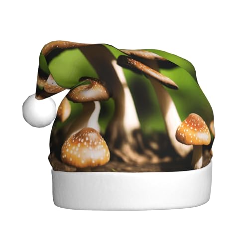 ZXMDZTSS Weihnachtsmütze mit Pilz-Aufdruck für Erwachsene, Plüsch, gemütlich, festlich, Weihnachtsmann-Kopfbedeckung, Pompon für Weihnachten, Partys, Feiertage. ZXMDZTSS Weihnachtsmütze mit Pilz-Aufdruck für Erwachsene, Plüsch, gemütlich, festlich, Weihnachtsmann-Kopfbedeckung, Pompon für Weihnachten, Partys, Feiertage. von ZXMDZTSS